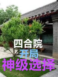 四合院：开局神级选择