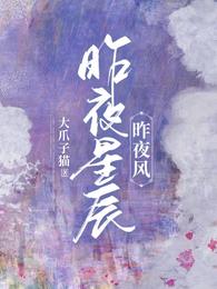 昨夜星辰，昨夜风